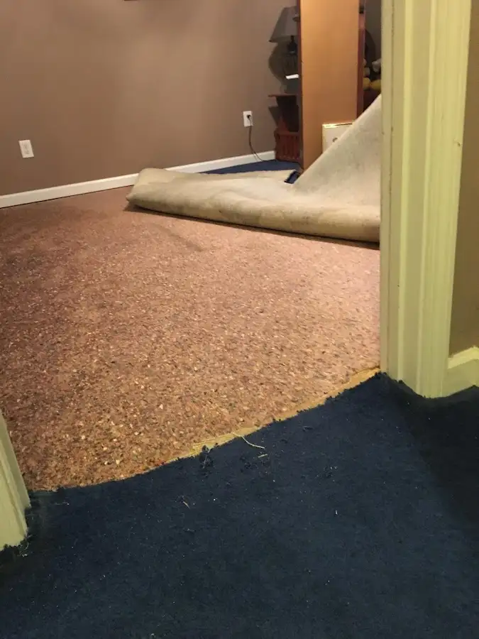 Carpet pad removal revealing water damage during Drying & Dehumidification in Raynham